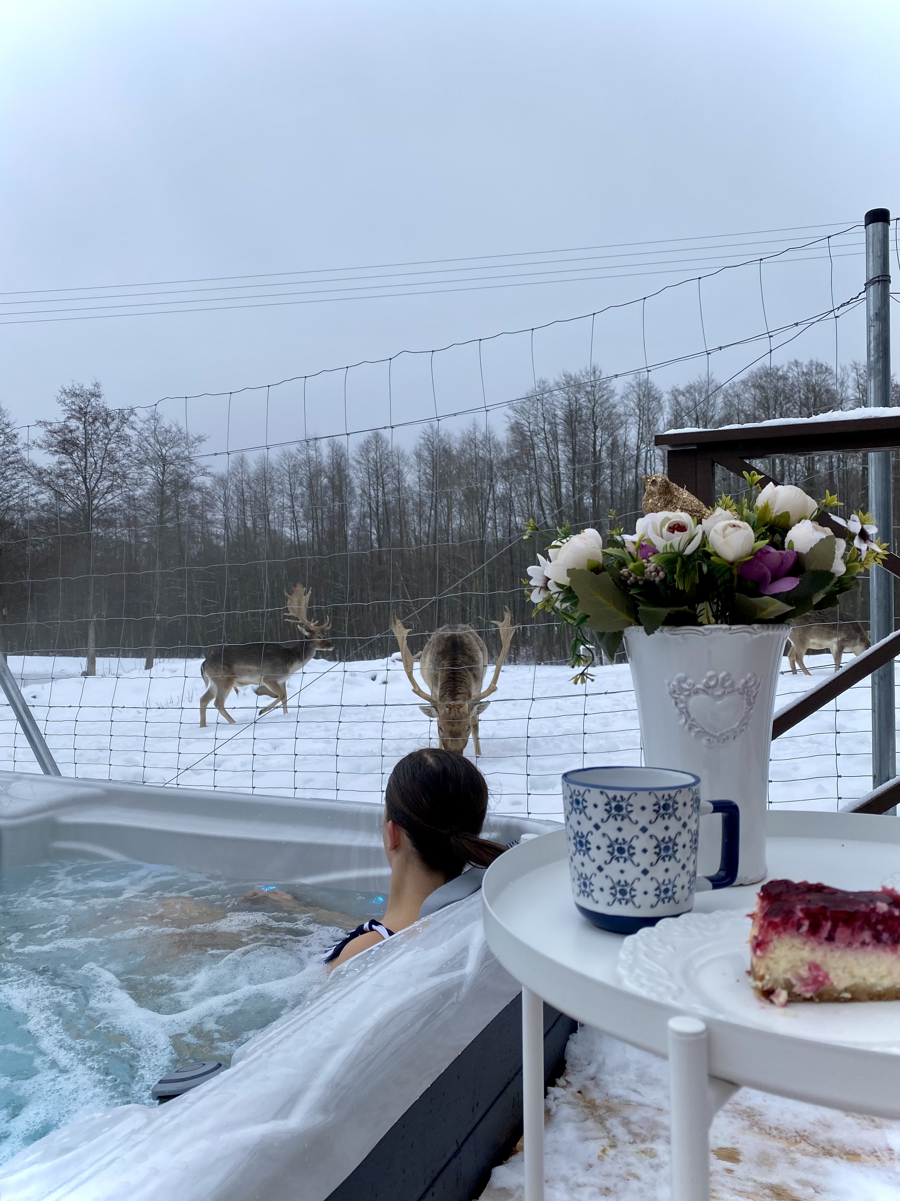 Rubikiai Lux prie ežero